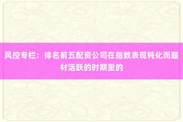 风控专栏:排名前五配资公司在指数表现钝化而题材活跃的时期里的