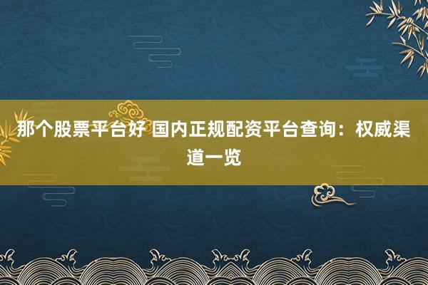 那个股票平台好 国内正规配资平台查询：权威渠道一览