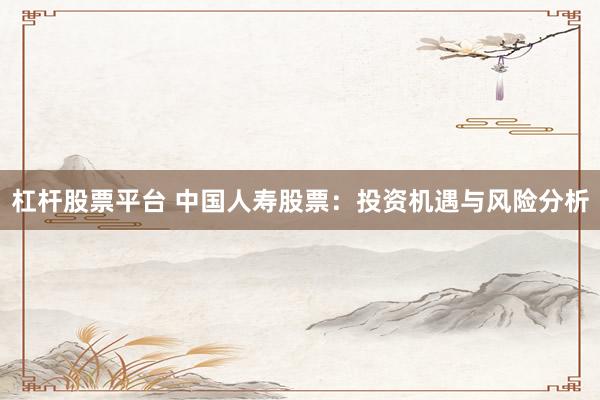 杠杆股票平台 中国人寿股票:投资机遇与风险分析