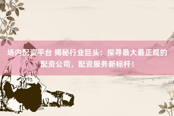 场内配资平台 揭秘行业巨头：探寻最大最正规的配资公司，配资服务新标杆！