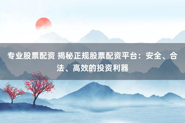 专业股票配资 揭秘正规股票配资平台:安全、合法、高效的投资利器