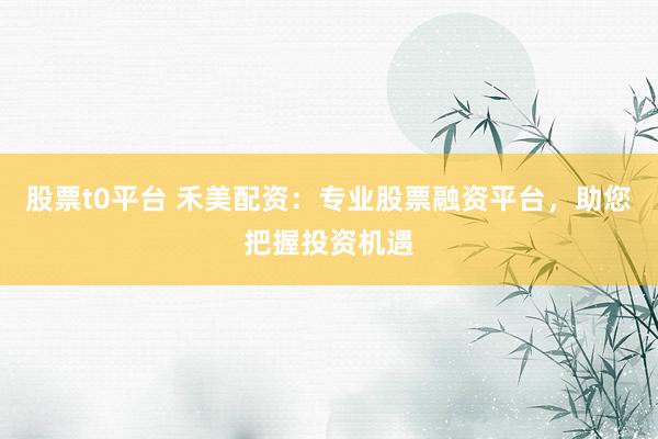 股票t0平台 禾美配资：专业股票融资平台，助您把握投资机遇